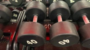 Foreman Dumbbell 40kg X2