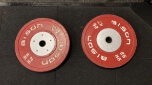 Bison 25Kg Bumper Weight Plate X2