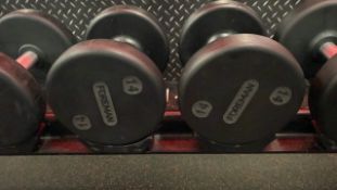 Foreman Dumbbell 14kg X2