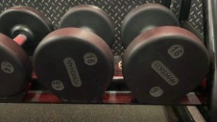 Foreman Dumbbell 16kg X2