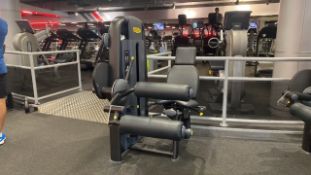 Technogym Leg Curl Machine