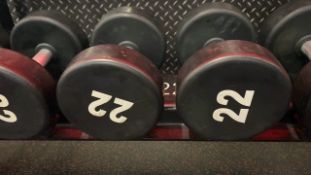 Foreman Dumbbell 22kg X2