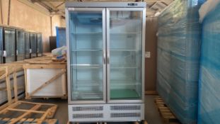 Docriluc Double Door Freezer