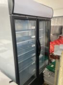 Tefcold Double Door Freezer
