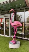 Flamingo - Outdoor