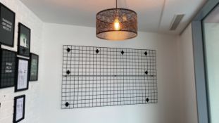 Wall Fixture and Ceiling Pendant