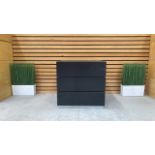 Black Wooden Cabinet With 2 Drawers