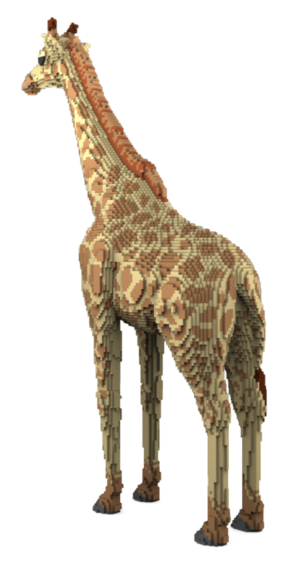 Giraffe - Image 7 of 8