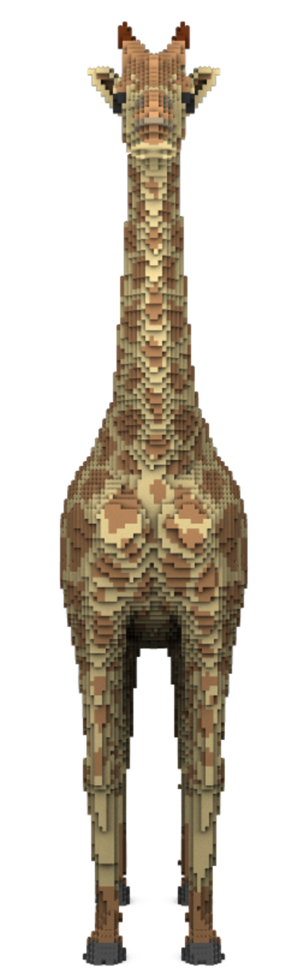 Giraffe - Image 6 of 8