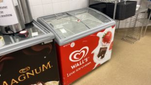 Walls Ice cream Freezer