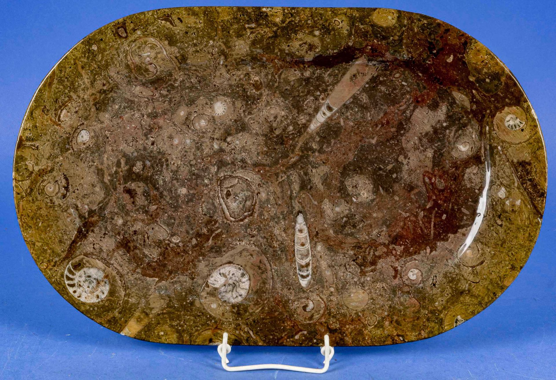 Große ovale, flache Platte aus poliertem Urzeitgestein, ca. 29 x 45,5 cm. 20. Jhdt. Guter unperfekt