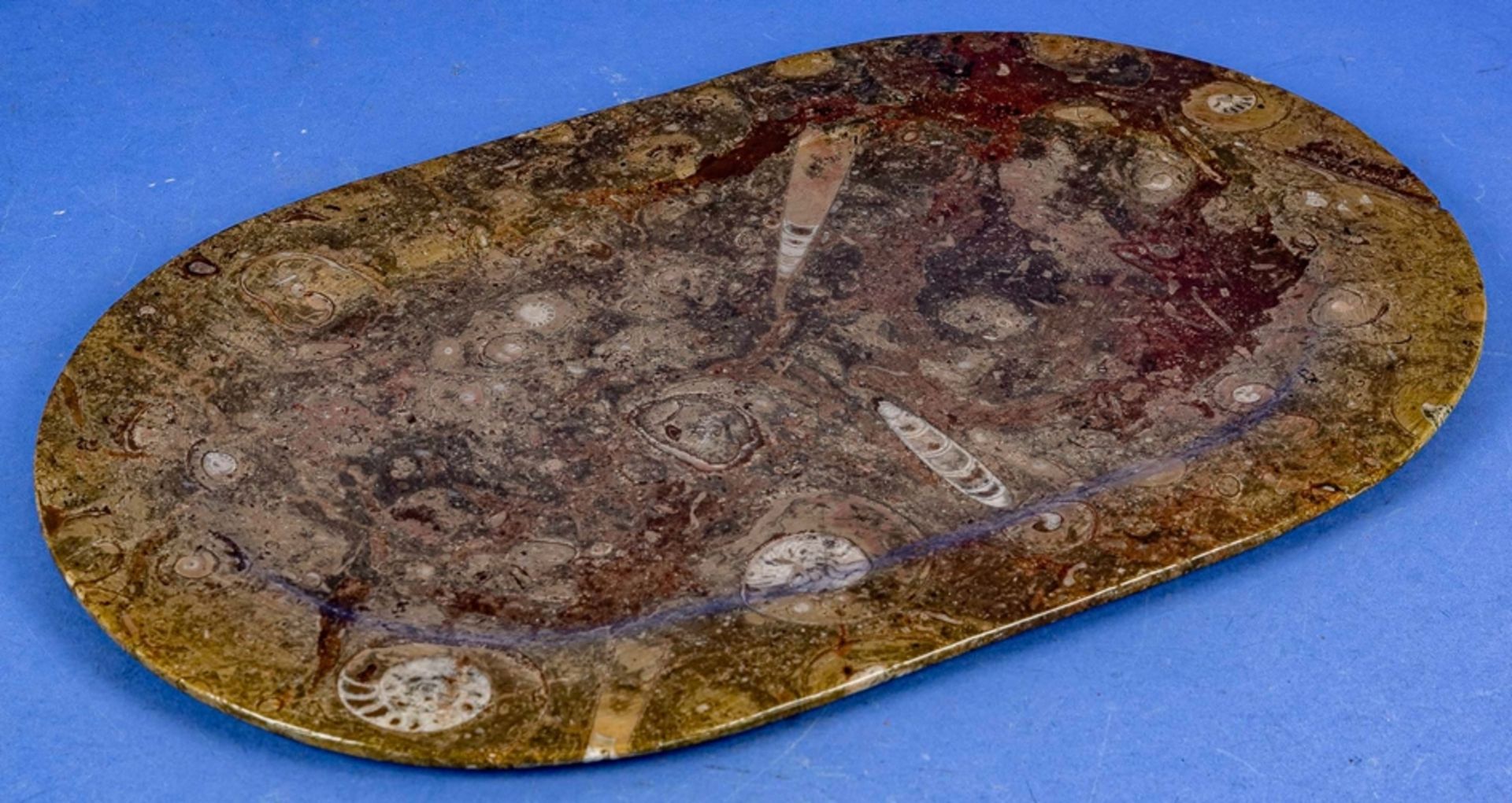 Große ovale, flache Platte aus poliertem Urzeitgestein, ca. 29 x 45,5 cm. 20. Jhdt. Guter unperfekt - Image 3 of 7