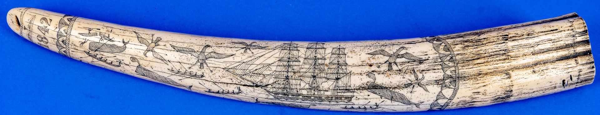 Dekorativer "ZAHN" bez.: "THE SHIP CHARLES W. MORGAN - NEW BEDFORD". Länge ca. 58 cm, Kunststoffgus - Bild 2 aus 14