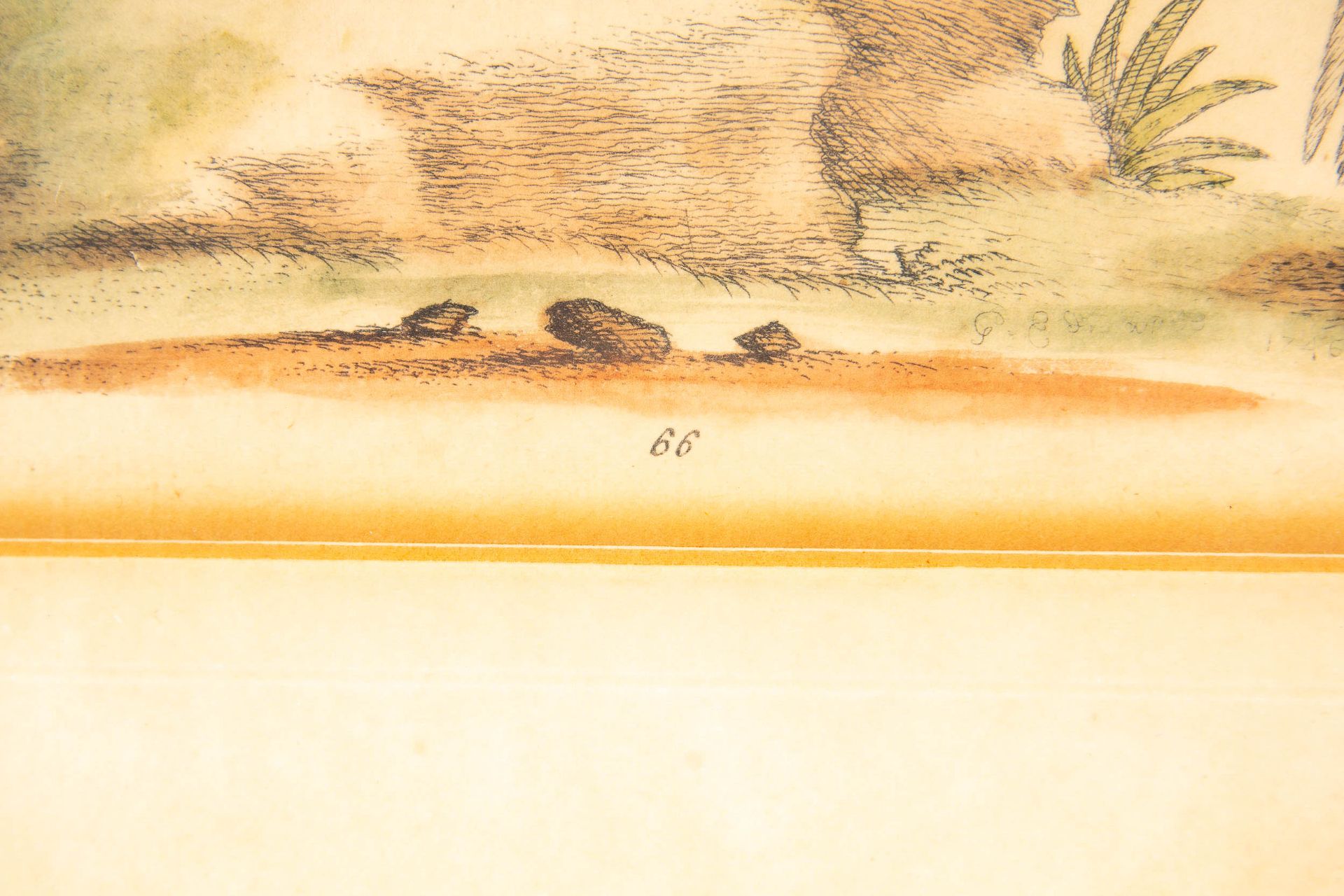 Folge von 4 identisch hinter Glas gerahmten colorierten Kupferstichen des 18. oder 19. Jhdts., Voge - Image 4 of 14