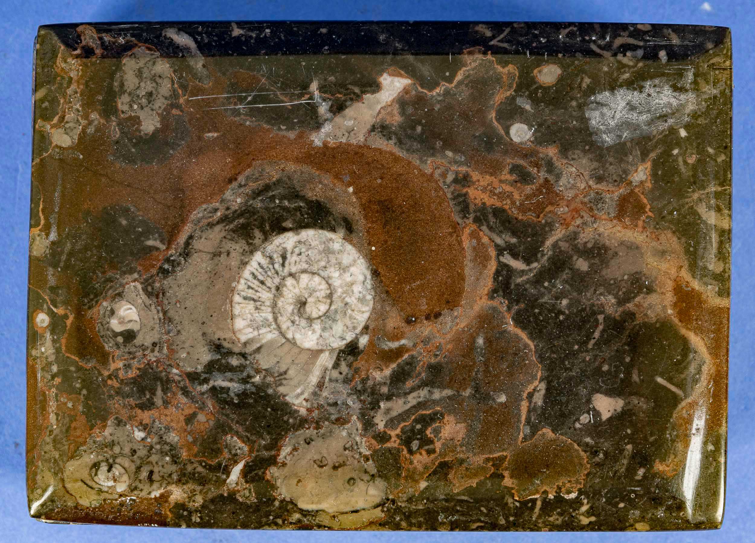 Rechteckige Deckeldose aus poliertem Urzeitgestein, ca. 7,5 x 14 x 10 cm. 20. Jhdt. Guter unperfekt - Image 5 of 6