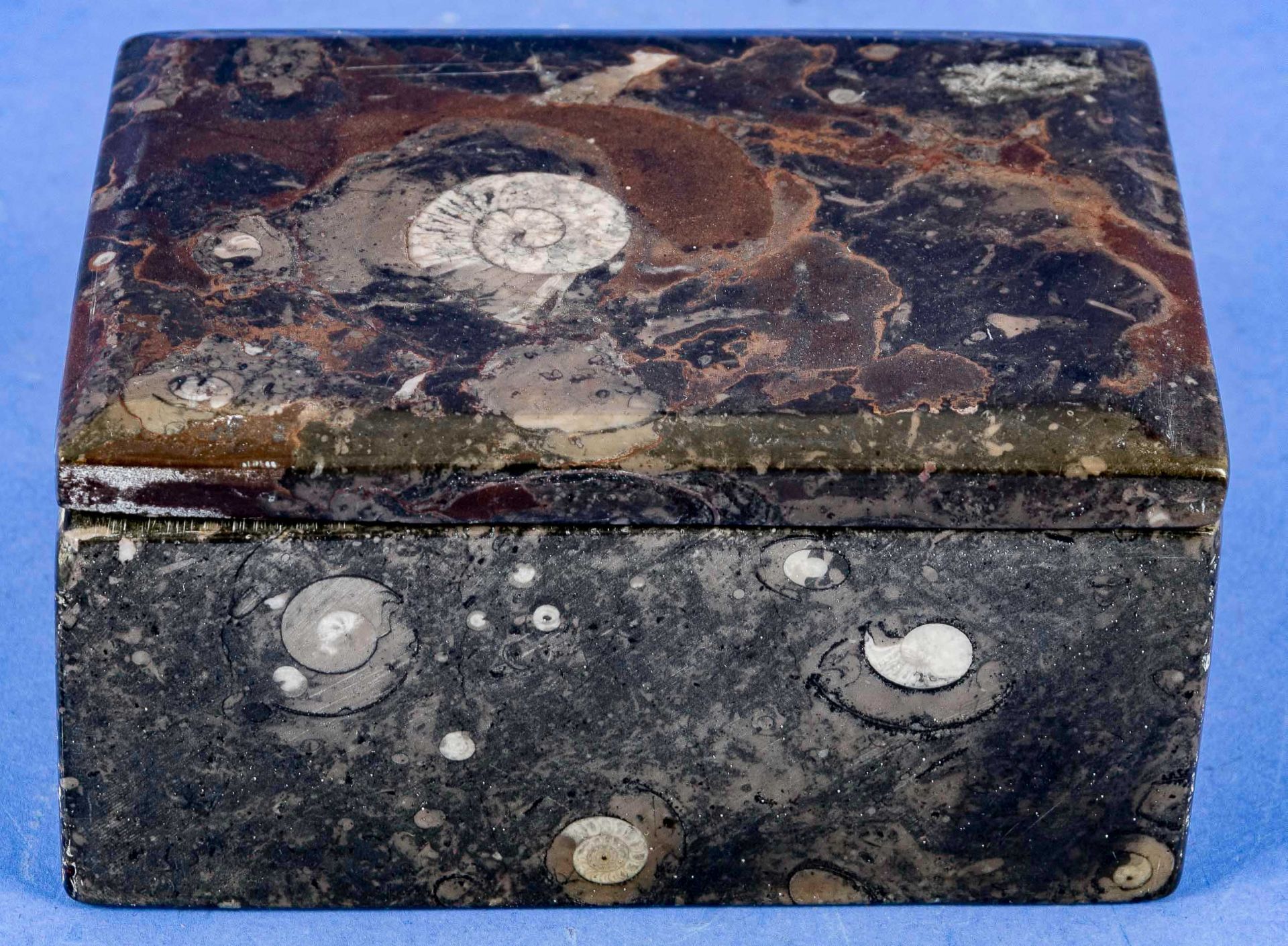 Rechteckige Deckeldose aus poliertem Urzeitgestein, ca. 7,5 x 14 x 10 cm. 20. Jhdt. Guter unperfekt - Image 3 of 6