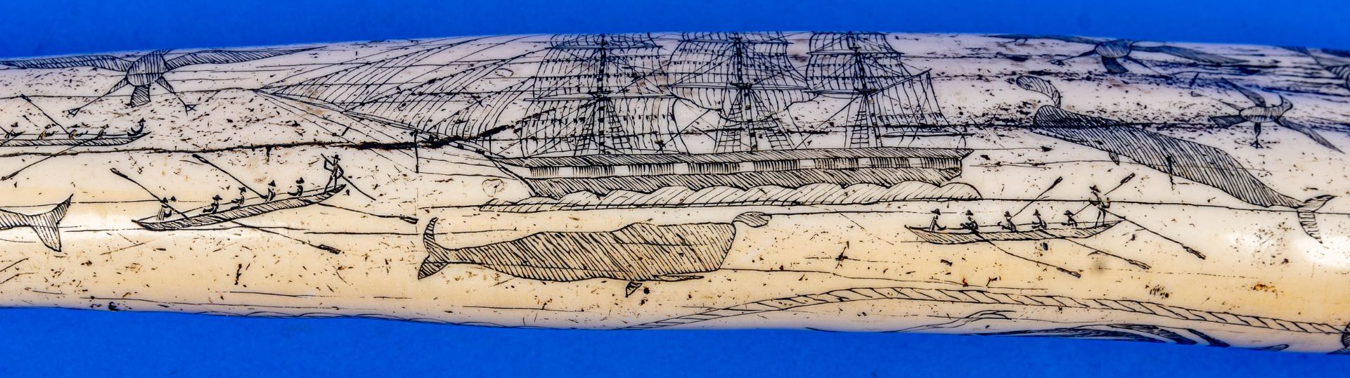 Dekorativer "ZAHN" bez.: "THE SHIP CHARLES W. MORGAN - NEW BEDFORD". Länge ca. 58 cm, Kunststoffgus - Bild 14 aus 14