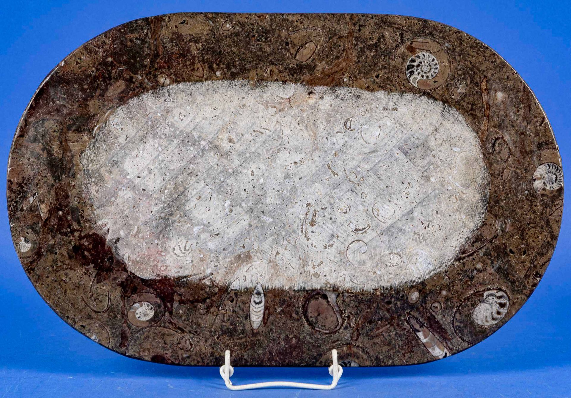 Große ovale, flache Platte aus poliertem Urzeitgestein, ca. 29 x 45,5 cm. 20. Jhdt. Guter unperfekt - Image 2 of 7