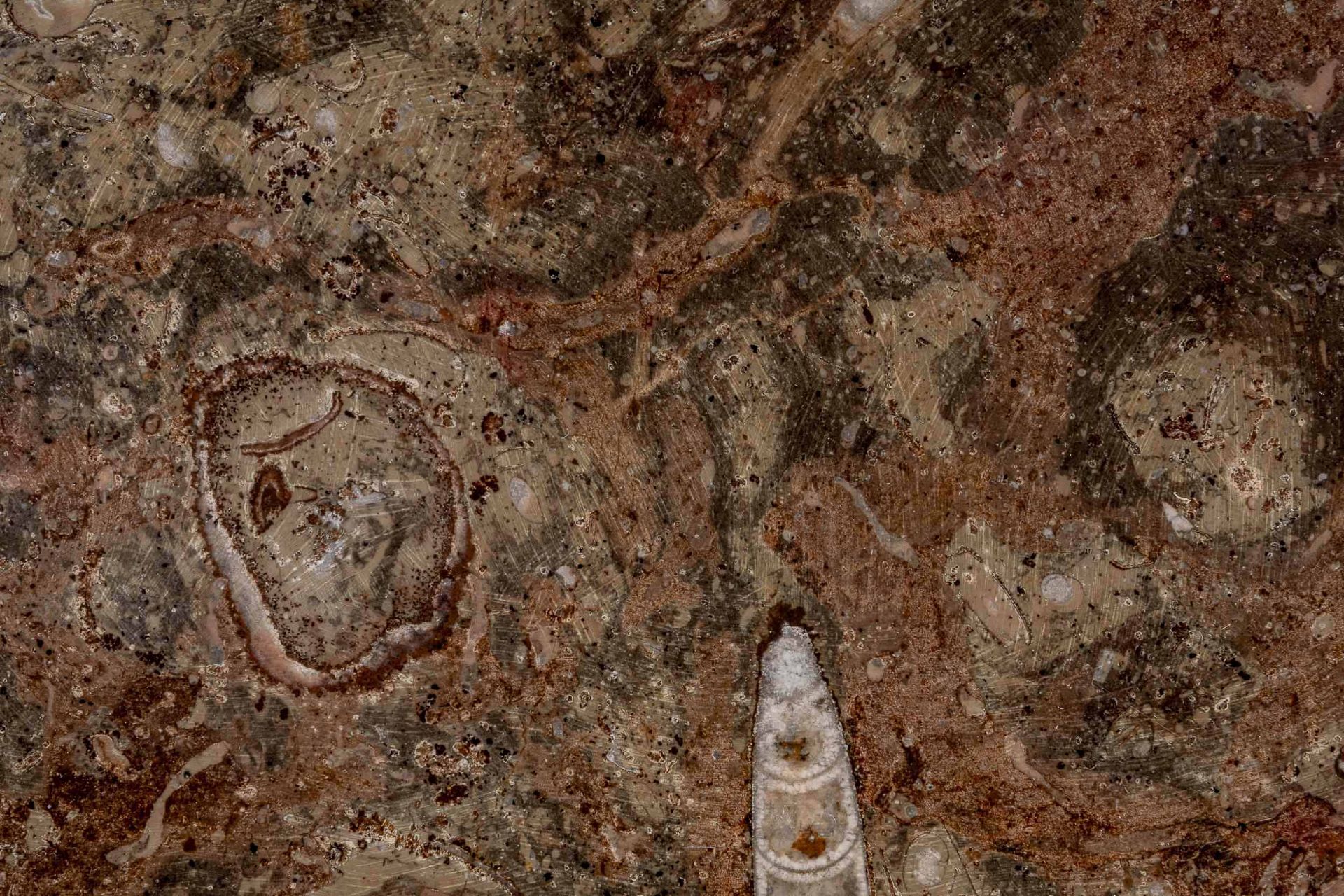 Große ovale, flache Platte aus poliertem Urzeitgestein, ca. 29 x 45,5 cm. 20. Jhdt. Guter unperfekt - Image 5 of 7