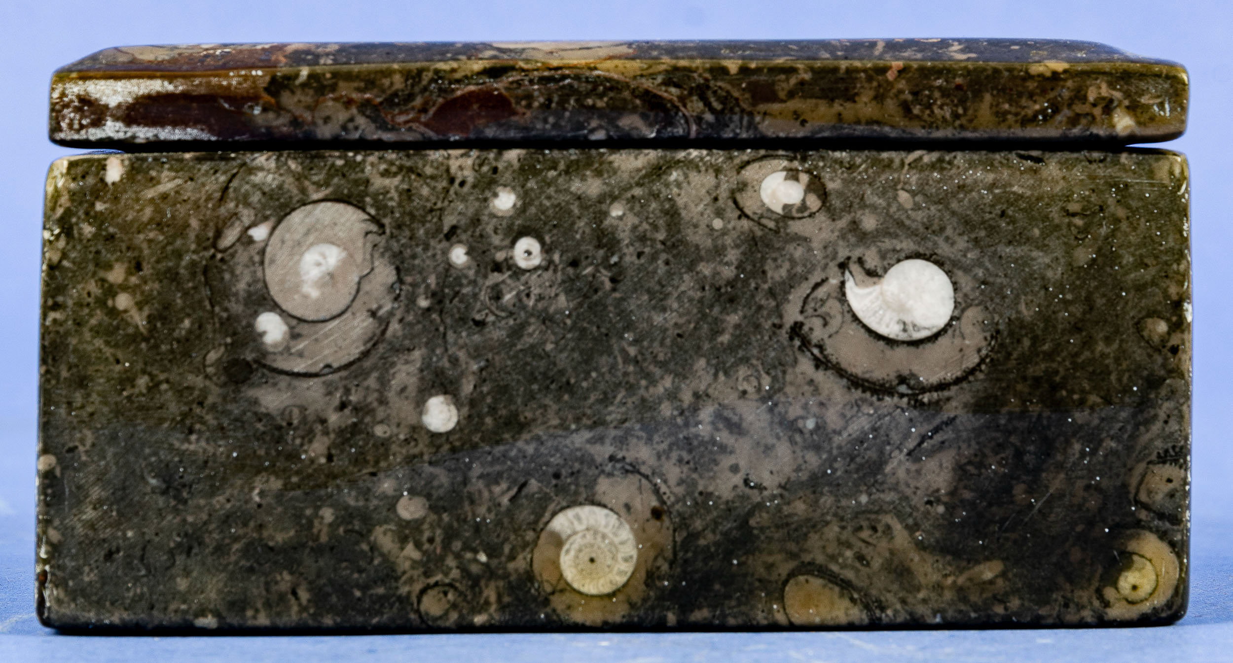 Rechteckige Deckeldose aus poliertem Urzeitgestein, ca. 7,5 x 14 x 10 cm. 20. Jhdt. Guter unperfekt - Image 4 of 6
