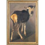 "Junges Elchkalb" - Gemälde, Öl auf Hartfaserplatte, ca. 74 x 50 cm, unsigniert, dem Braunschweige