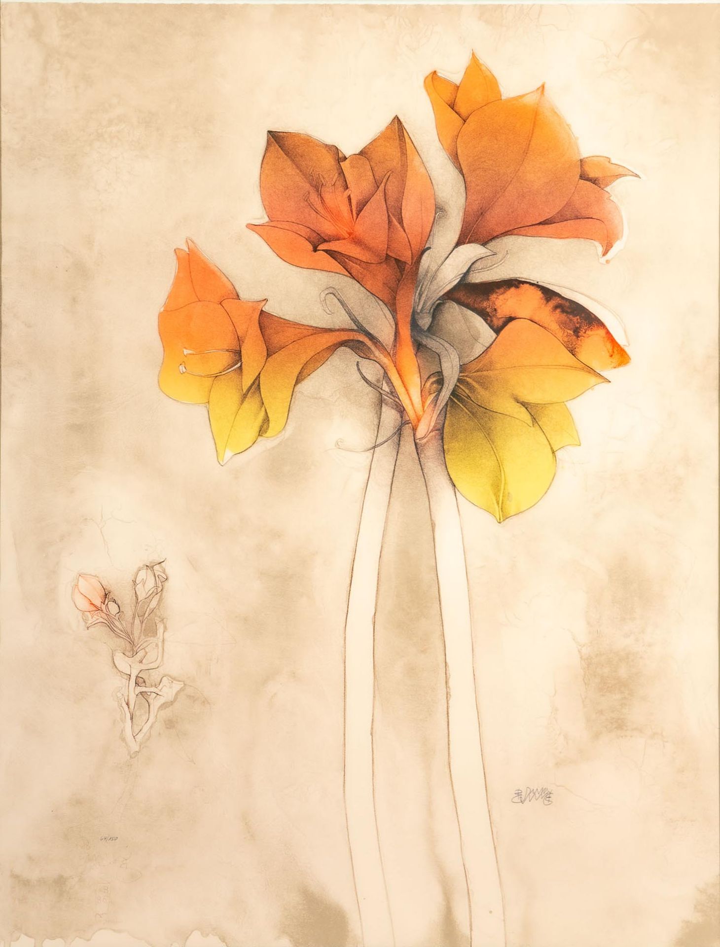 "Amaryllis", hinter Glas gerahmte orig. Lithographie in 3 Farben des Bruno Bruni, italienischer Mal - Image 2 of 7