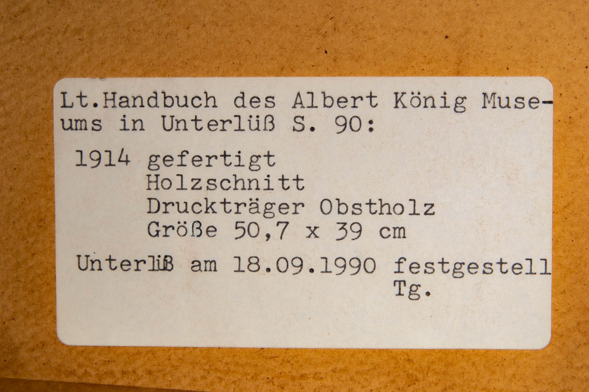 "An der Aschau", orig. Holzschnitt um 1914 (Druckträger Obstholz), Platte ca. 50,7 x 39 cm, des Alb - Image 10 of 11