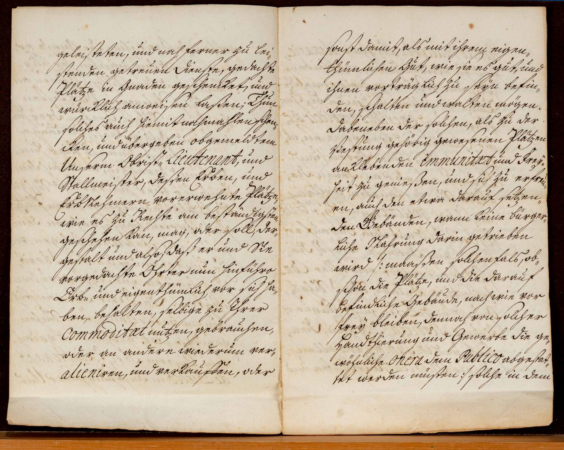 Antike Handschriften aus dem Jahre 1700, 1 x wohl als Erinnerungsurkunde des Lucas de Bucco durch d - Bild 6 aus 7