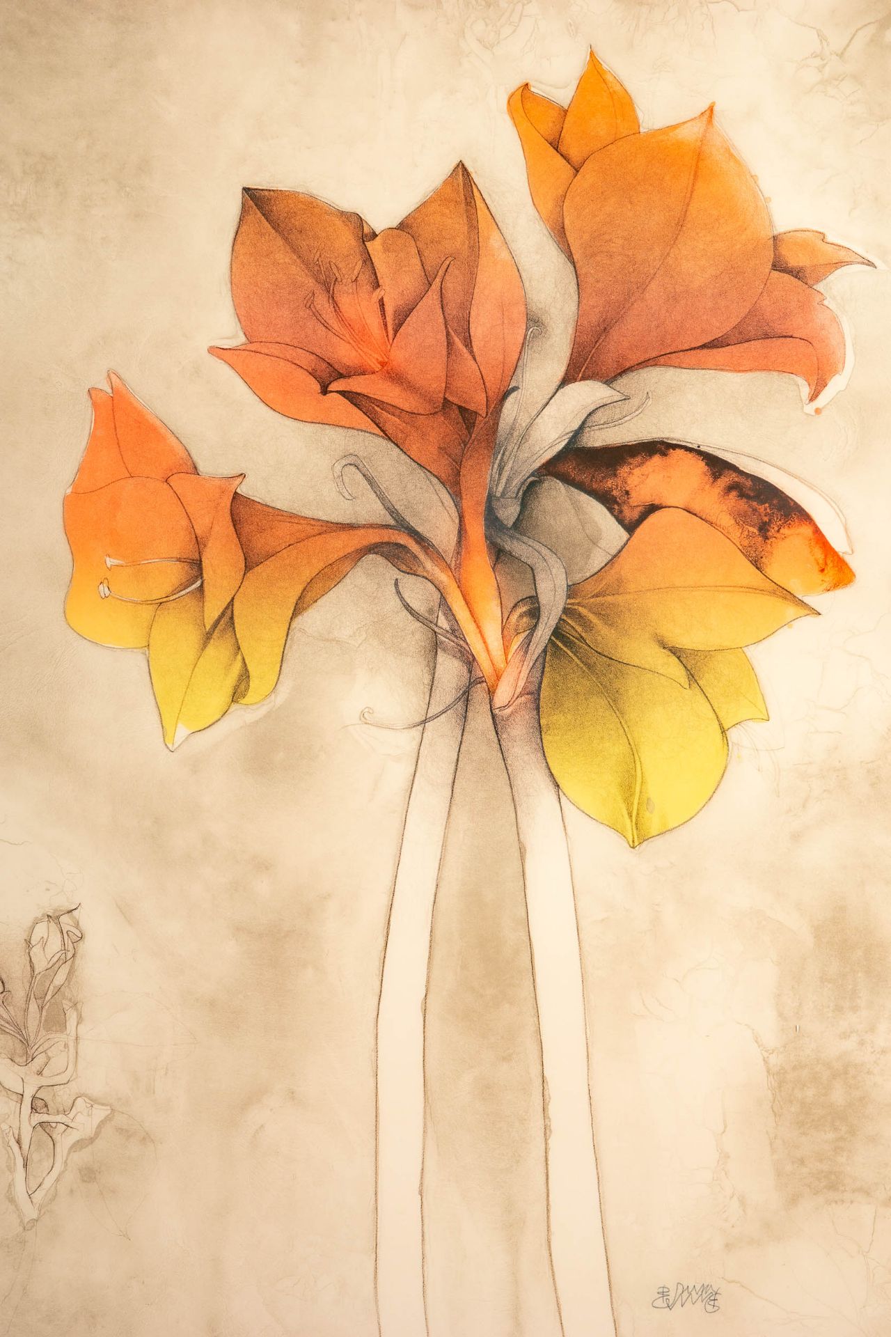 "Amaryllis", hinter Glas gerahmte orig. Lithographie in 3 Farben des Bruno Bruni, italienischer Mal - Image 3 of 7