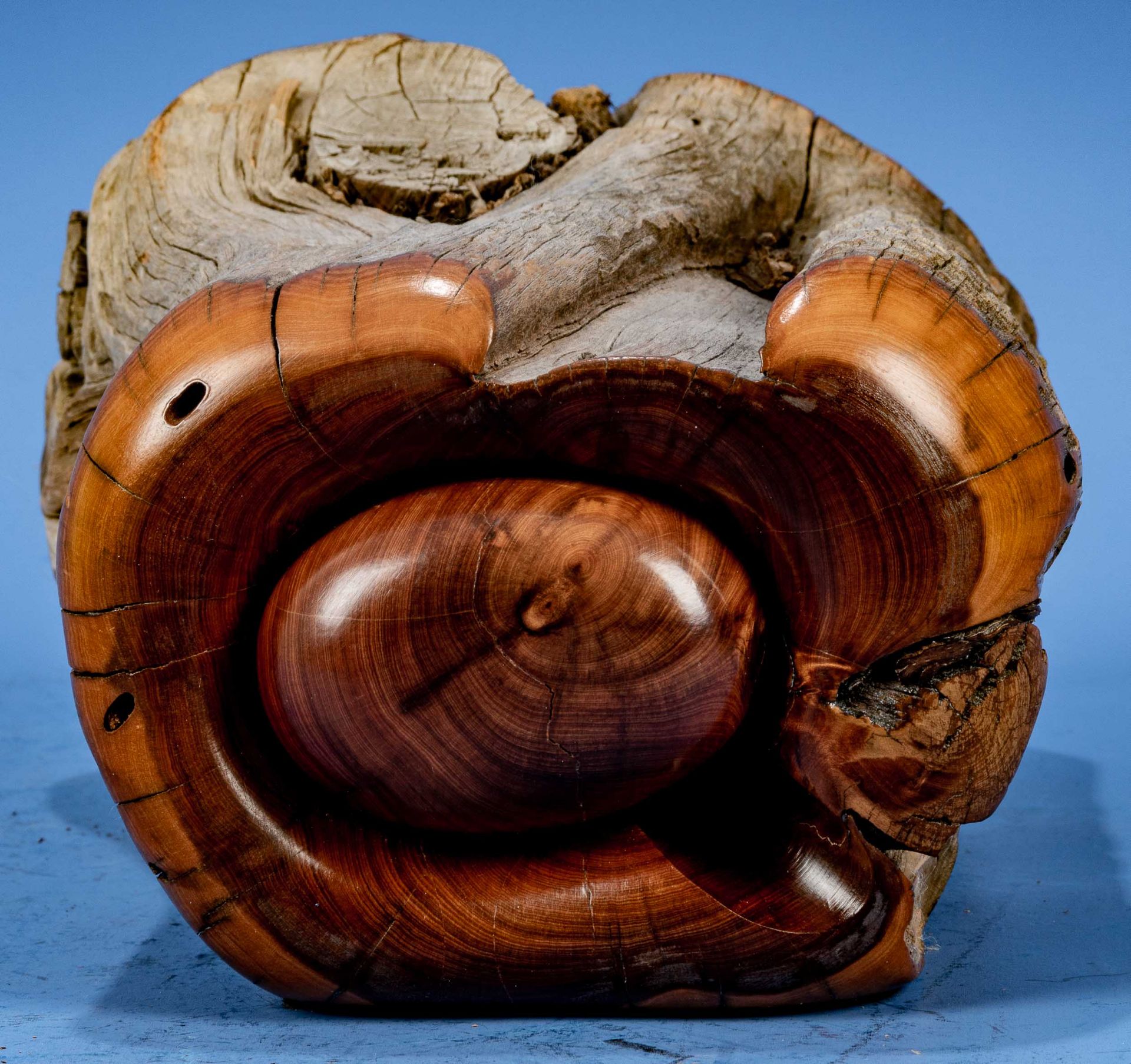 Baumstück-Schatulle, teilweise geschliffenes, lackiertes Wurzelholzstück (Olivenholz?), herausnehmb - Bild 8 aus 12