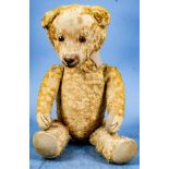 Antiker, (ursprünglich) gelber Mohair-Teddy der wohl 1920/30er Jahre, Kopf und Gliedmaßen beweglich