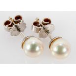 Paar 585er Weißgold Perlenohrringe, die Perlen silbrig-weiß lüstrierend; Perlendurchmesser ca. 7 mm