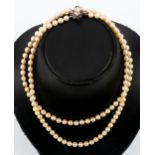 Doppelreihige Perlenkette, einzeln geknotete Zuchtperlen mit champagnerfarbenem Lüster, max. Länge