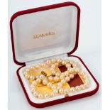 Schwere MAJORICA-Perlenkette, einzeln geknotet, Länge ca. 63 cm, champagnerfarbener Lüster, der Sic