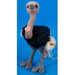 "EMU" - Straußenvogel, STEIFF, Modell "PICCY", Höhe ü. A. ca. 40 cm. Sehr schöner Erhalt.