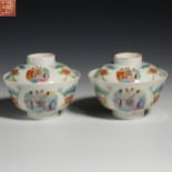 A pair of pastel tureen from Qing Dynasty