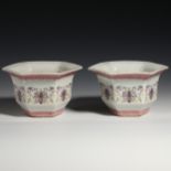 A pair of Qing Dynasty pastel flower POTS