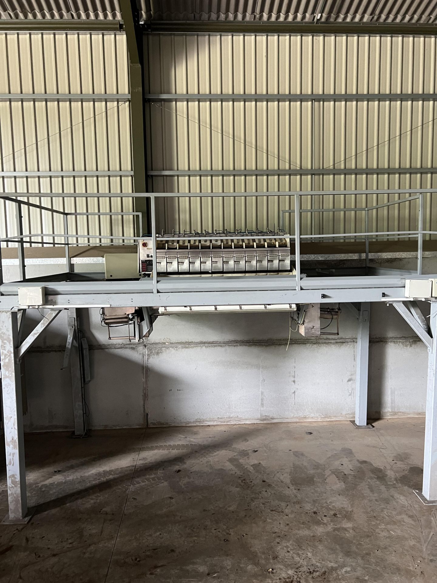 Newtec 2012 BG Linear Weigher with Double drop Conveyor