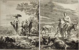 Visscher, Cornelis