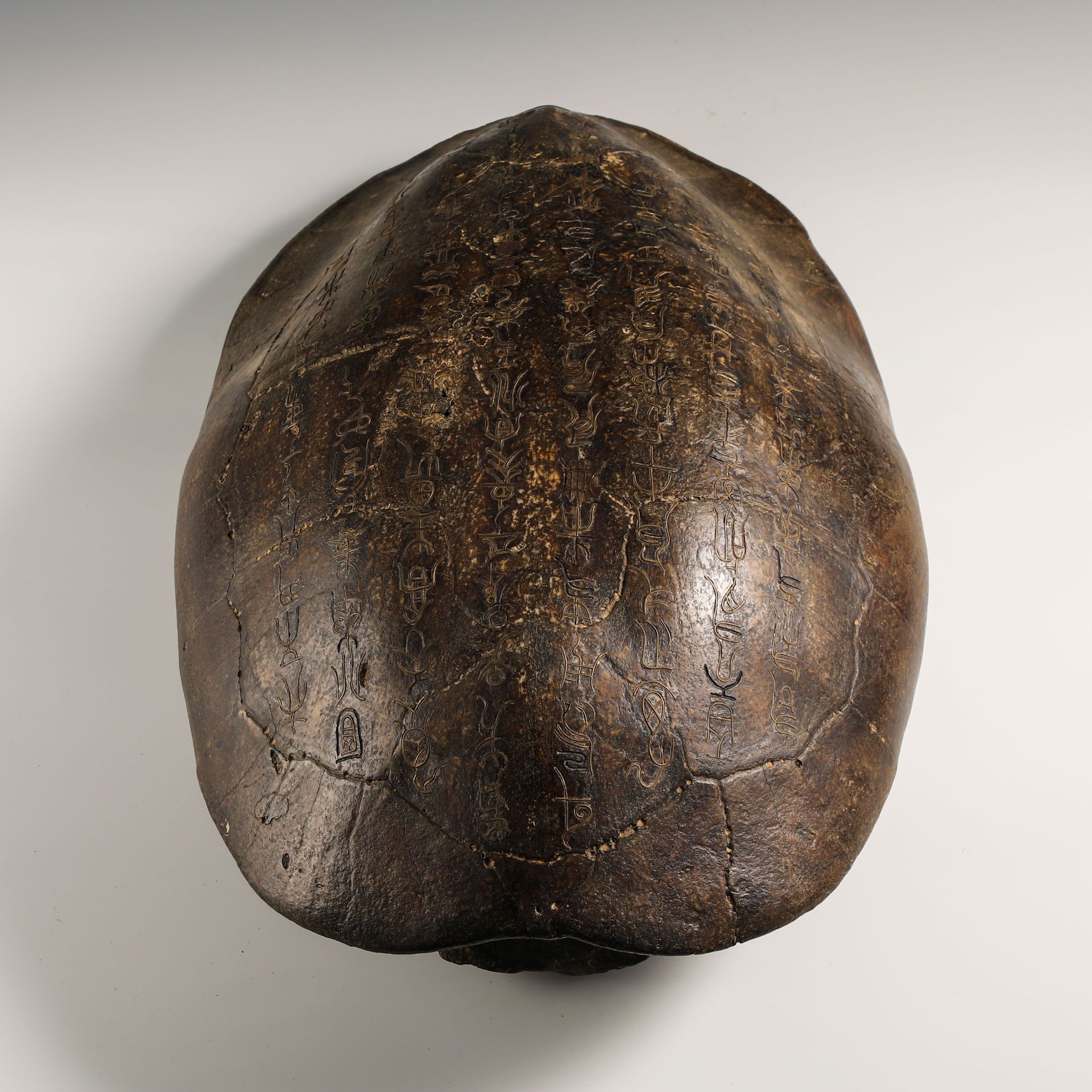 16th Century Inlaid Tortoise Shell - Image 2 of 14