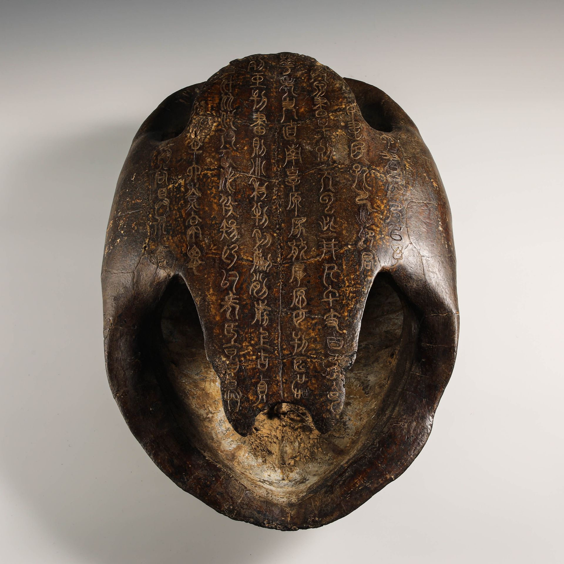 16th Century Inlaid Tortoise Shell - Image 9 of 14