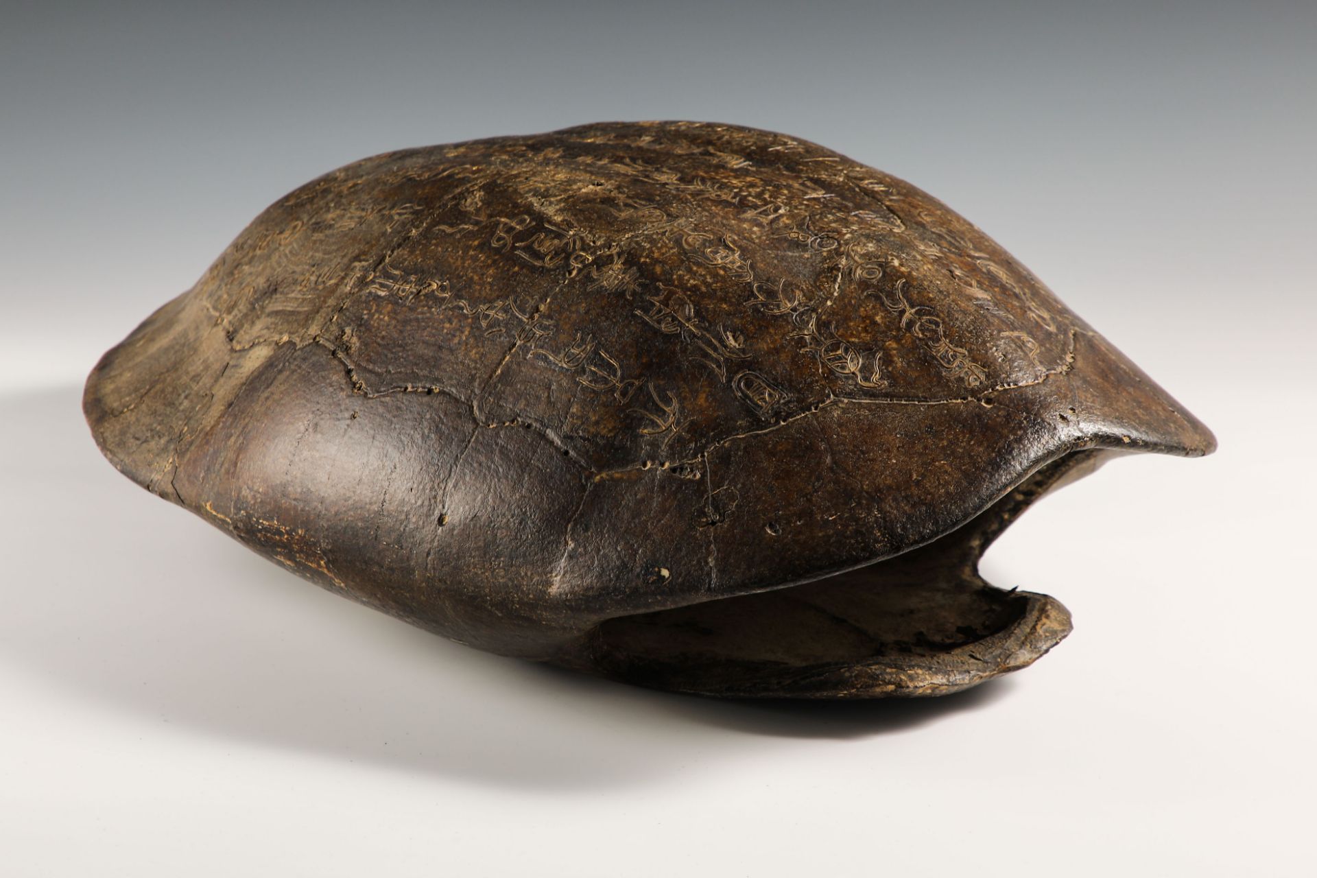 16th Century Inlaid Tortoise Shell - Image 8 of 14