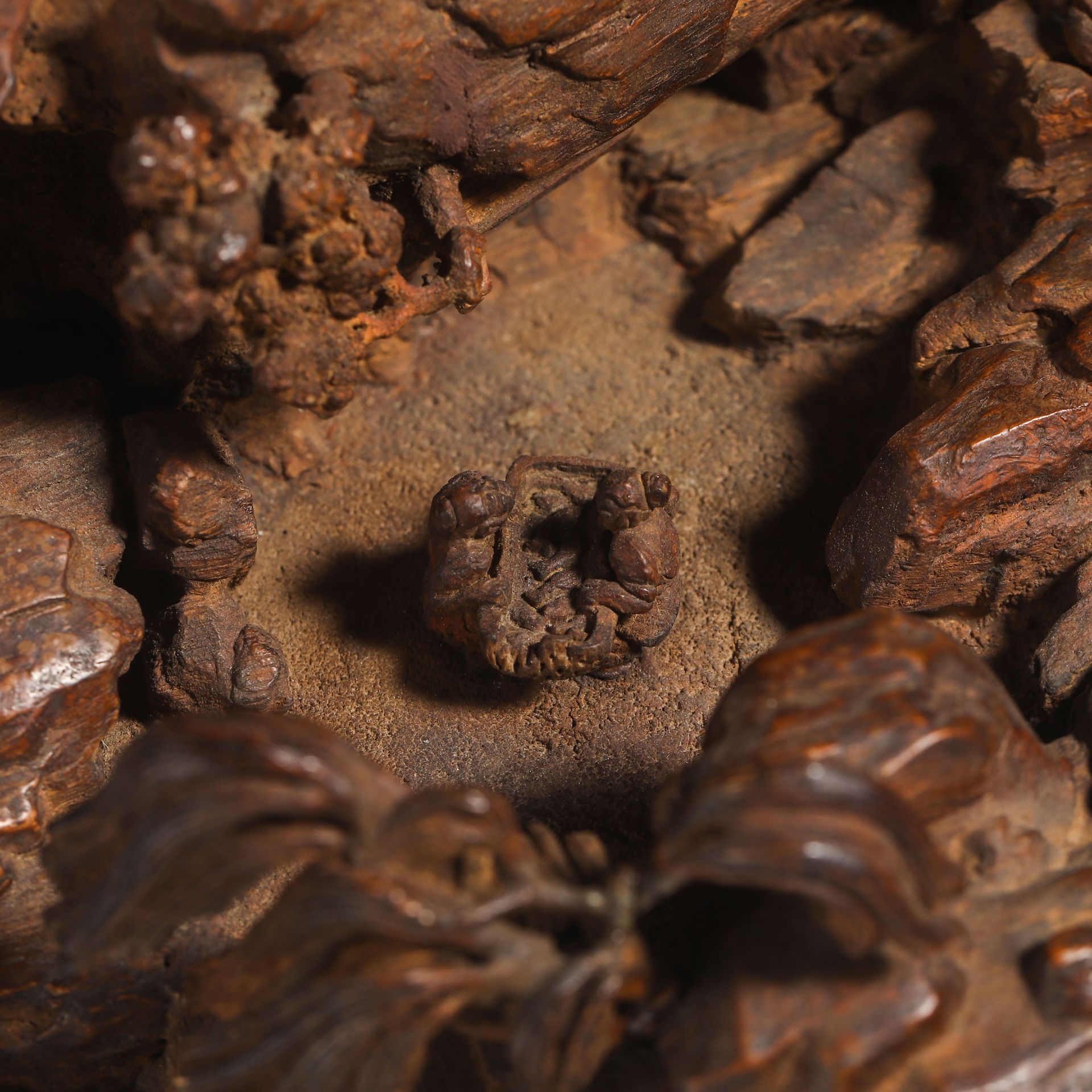 Nineteenth Century Agarwood Ornament - Image 8 of 12