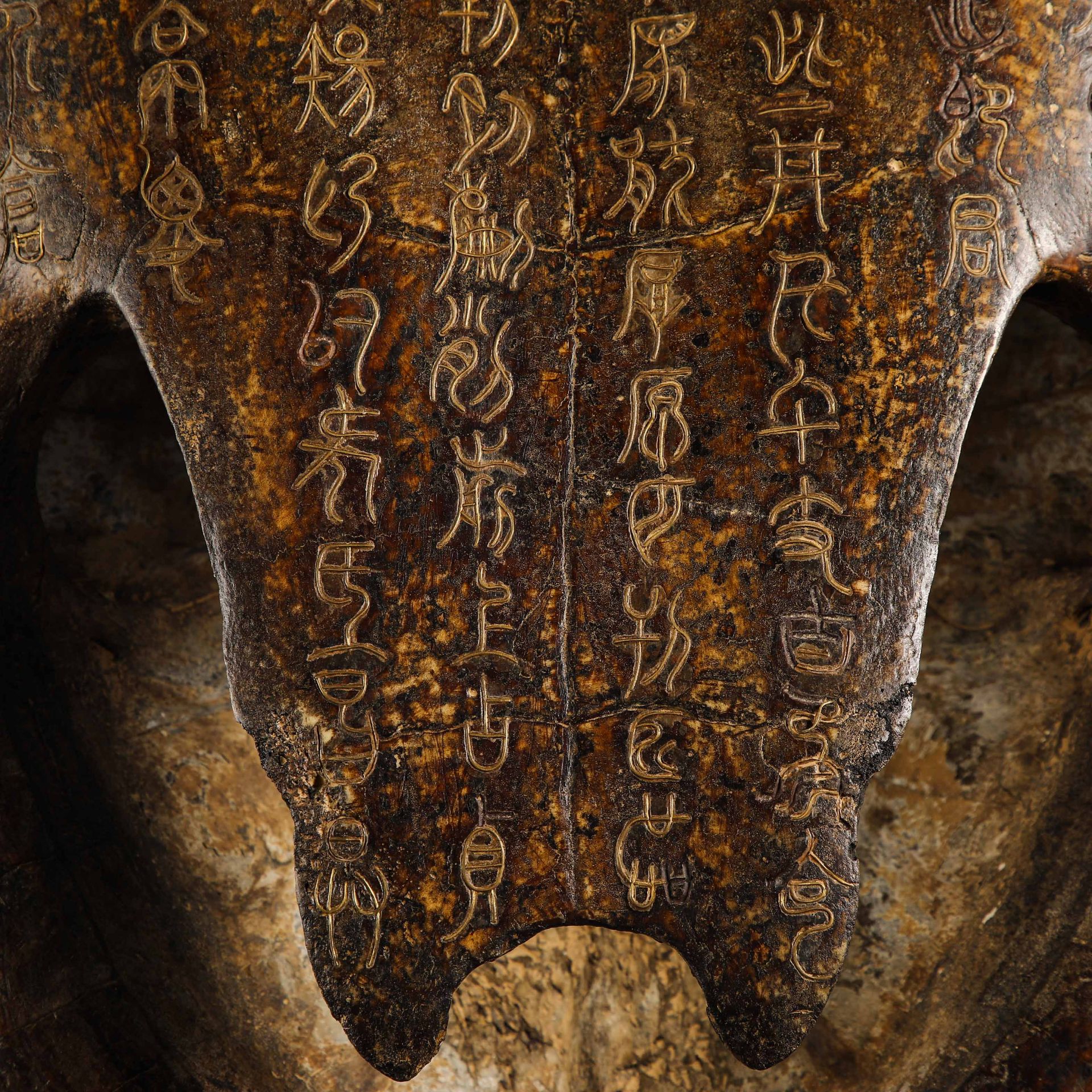 16th Century Inlaid Tortoise Shell - Image 11 of 14