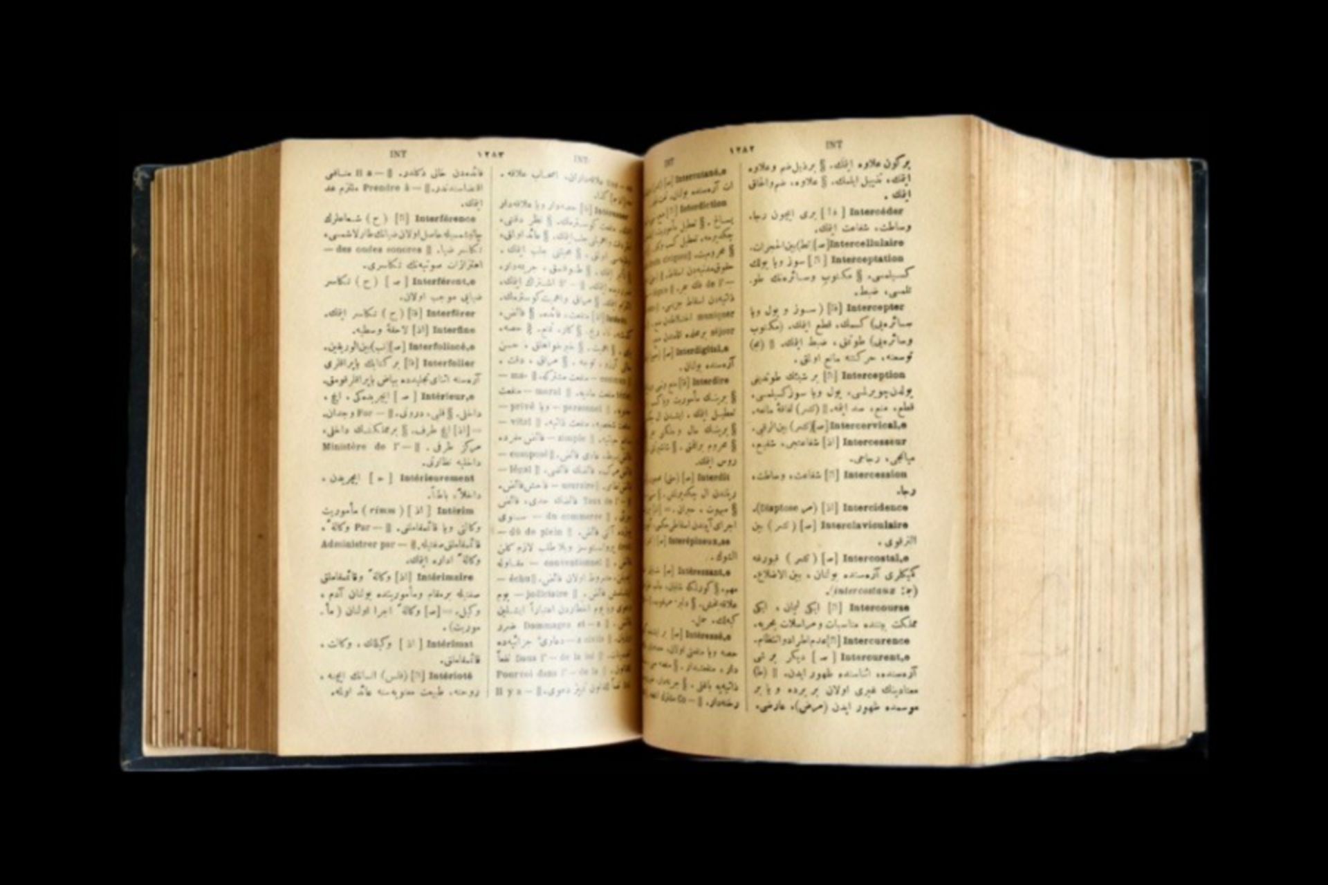 19th century French - Ottoman dictionary - Image 2 of 19