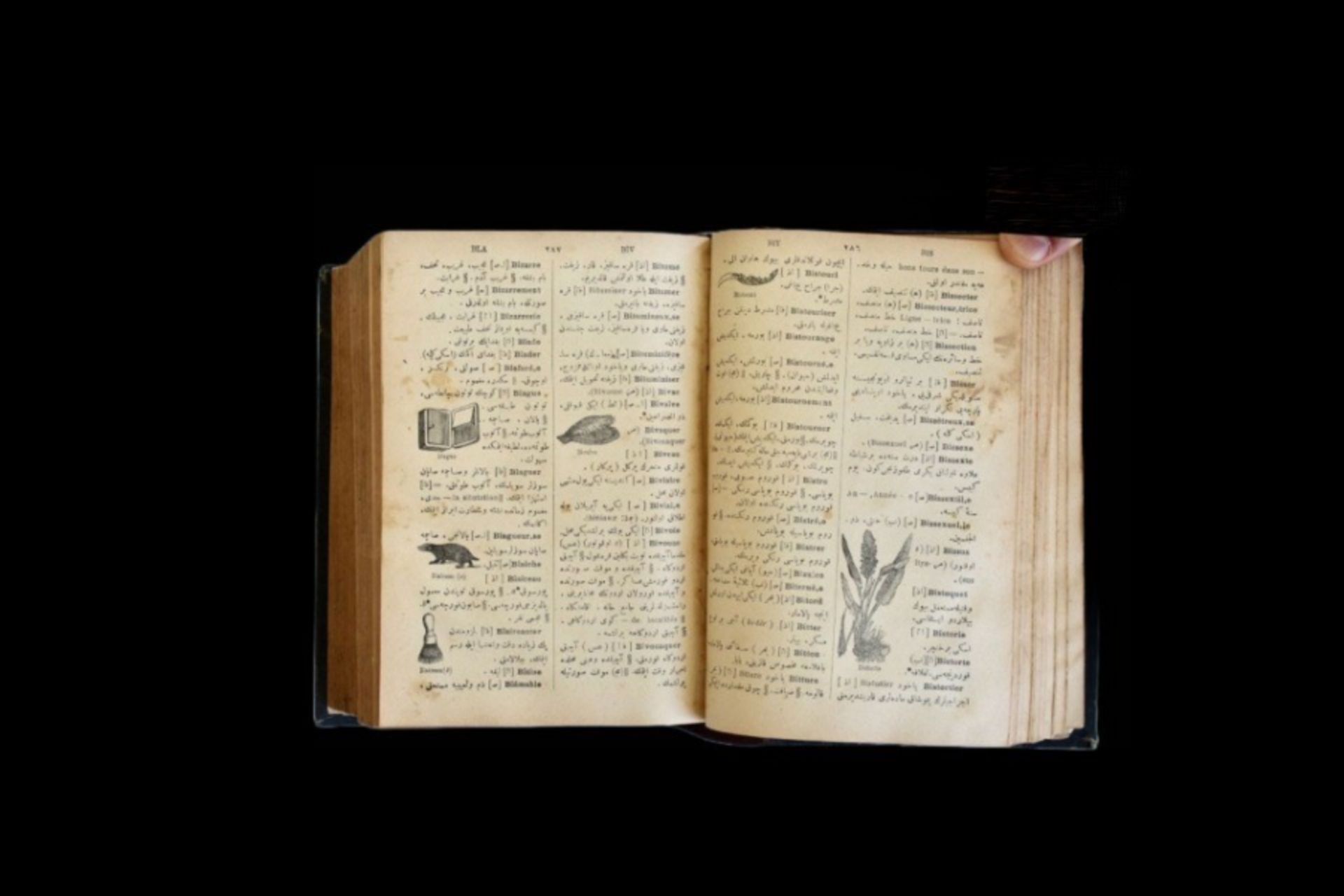 19th century French - Ottoman dictionary - Image 11 of 19