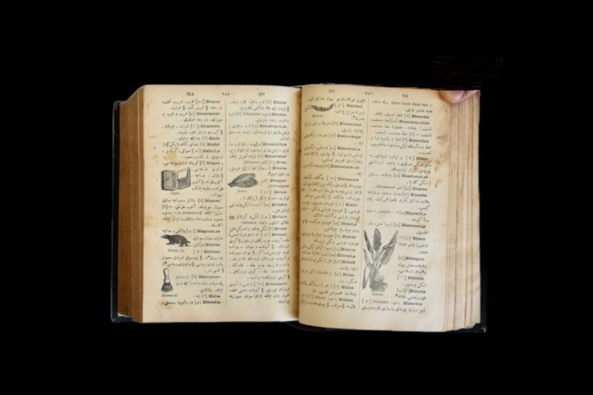 19th century French - Ottoman dictionary - Image 9 of 19