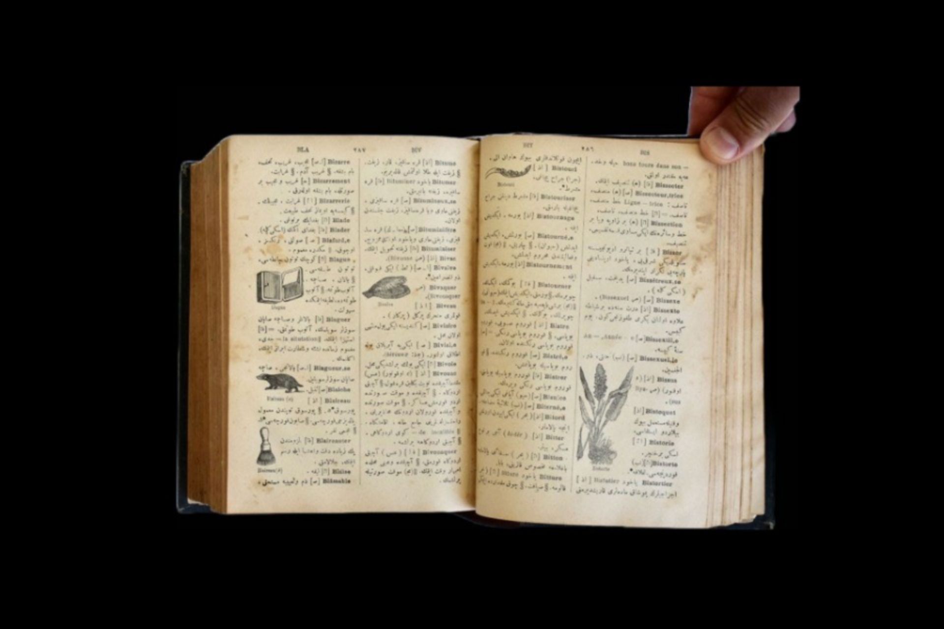19th century French - Ottoman dictionary - Image 8 of 19