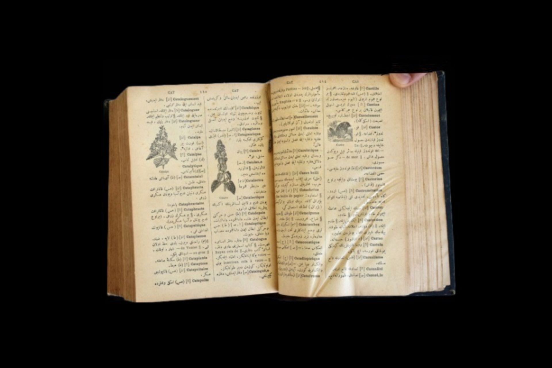 19th century French - Ottoman dictionary - Image 7 of 19