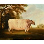 Early 19th Century English School. Study of a Primitive Bull in a Landscape, Oil on Canvas, 20" x